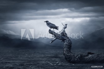 Image de Crow sitting on a branch